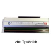 Zeige Details für Druckkopf AP4.4/AP5.4/XLP 504/ 514 (300dpi) Bild von Druckkopf AP4.4/AP5.4/XLP 504/ 514 (300dpi)